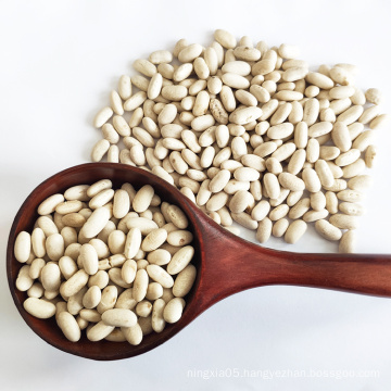 Wholesale Low Price Chinese Natural  Baishake White Kidney Beans